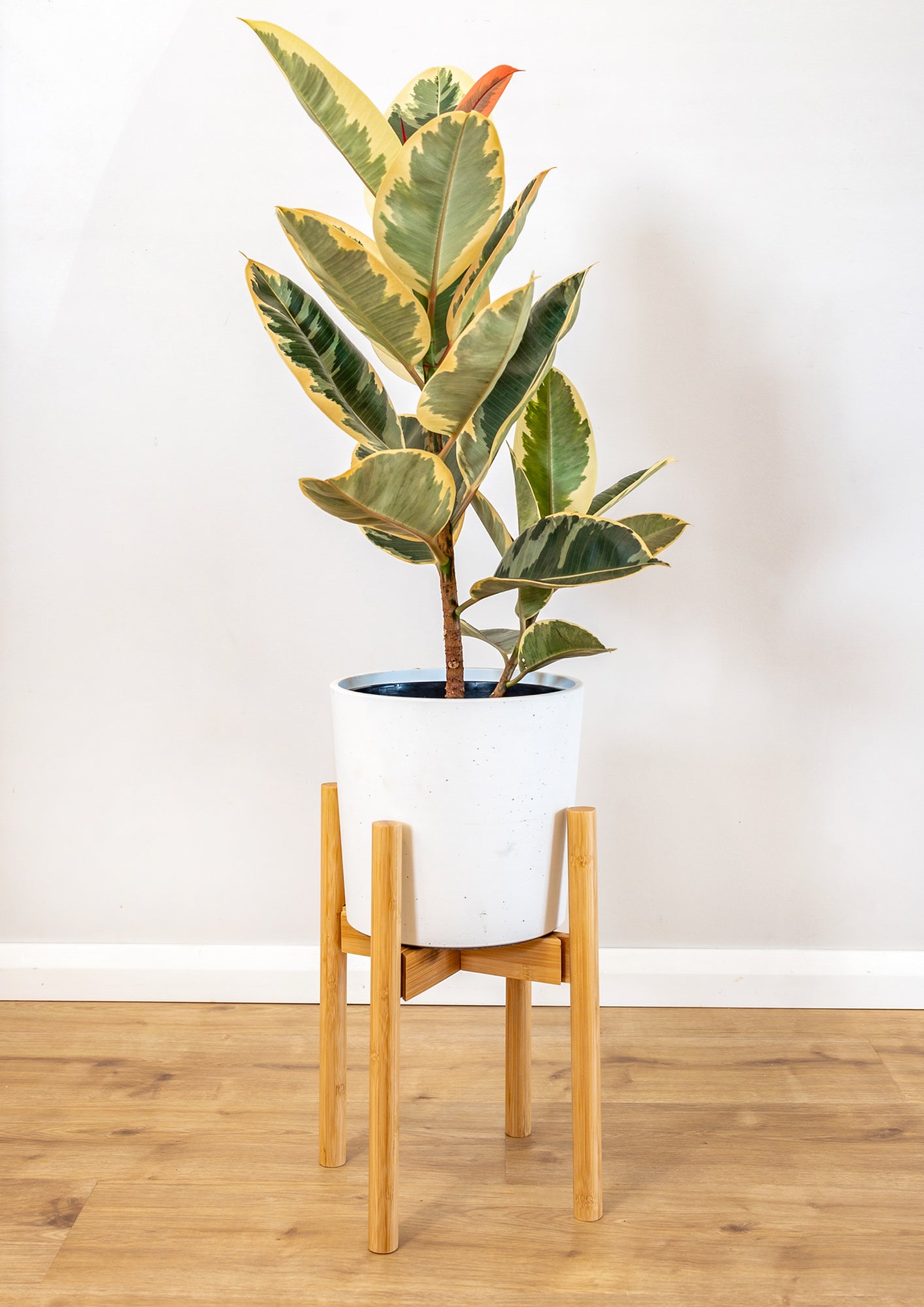 Adjustable Bamboo Plant Stand - Natural