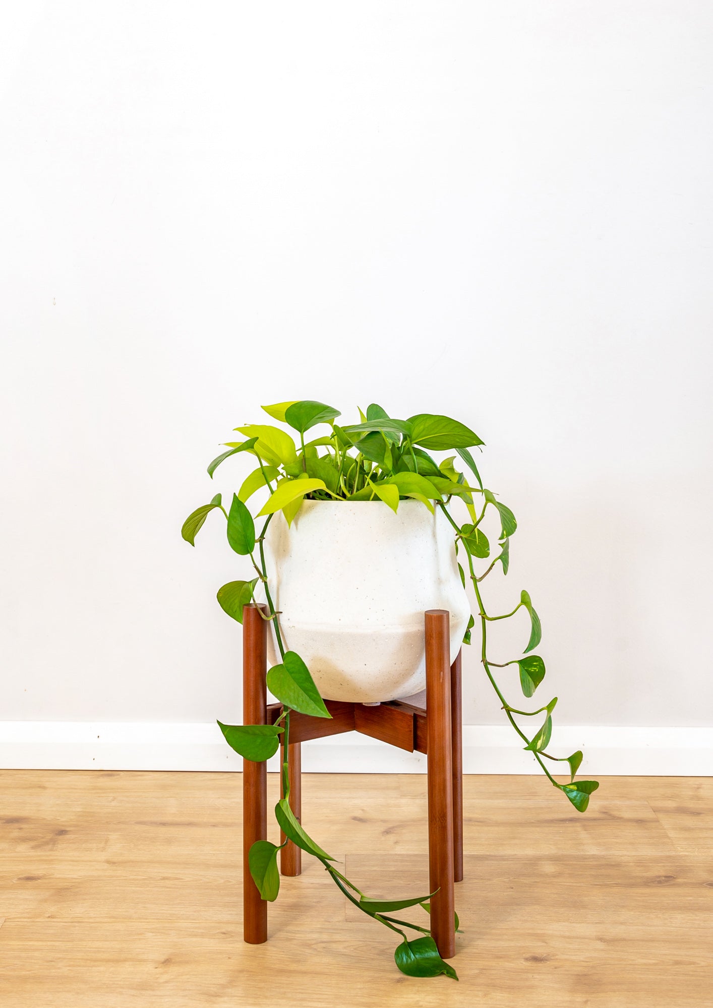 pot plant stand australia Adjustable Bamboo Plant Stand - Walnut