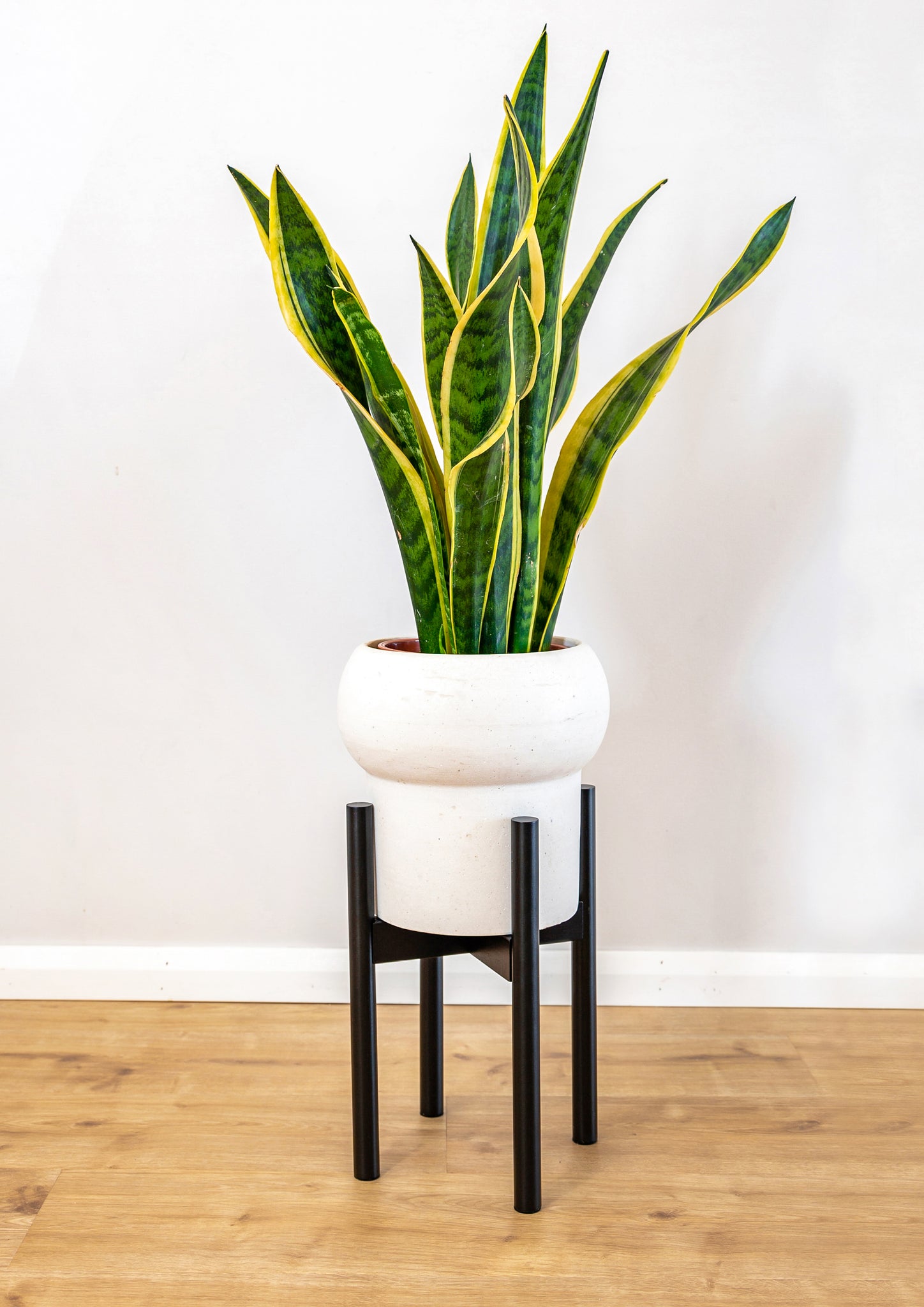 Adjustable Bamboo Plant Stand - Black